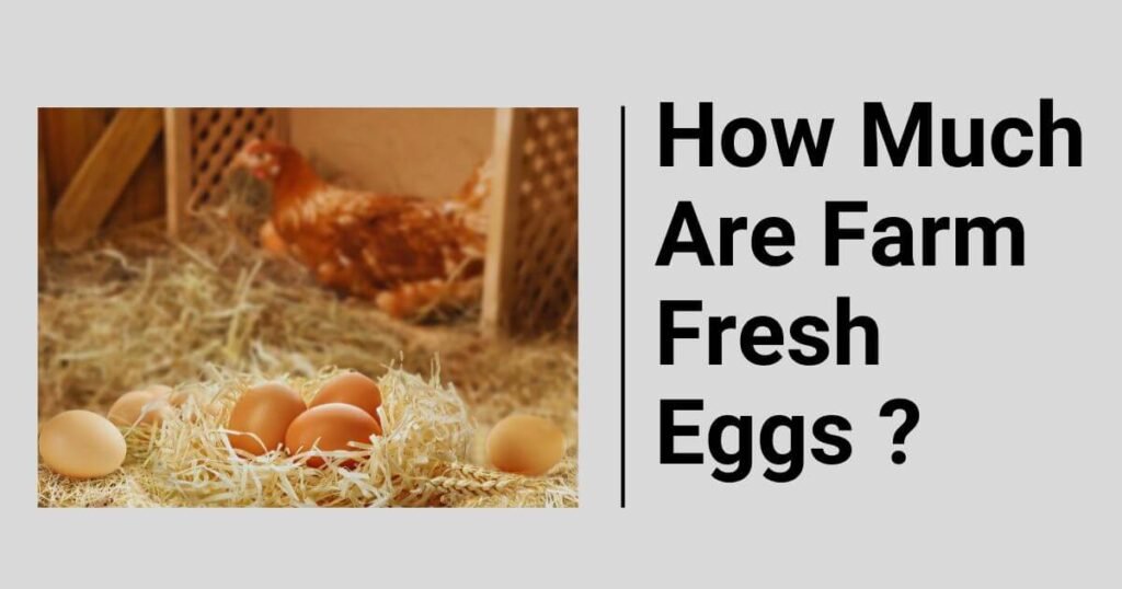 Remove term: How Much Are Farm Fresh Eggs How Much Are Farm Fresh Eggs