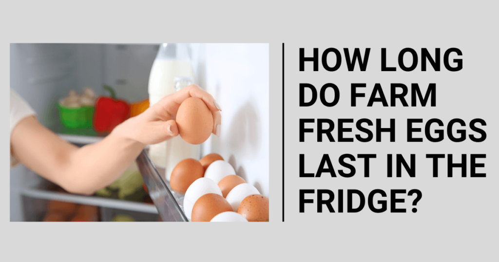 How Long Do Farm Fresh Eggs Last in the Fridge