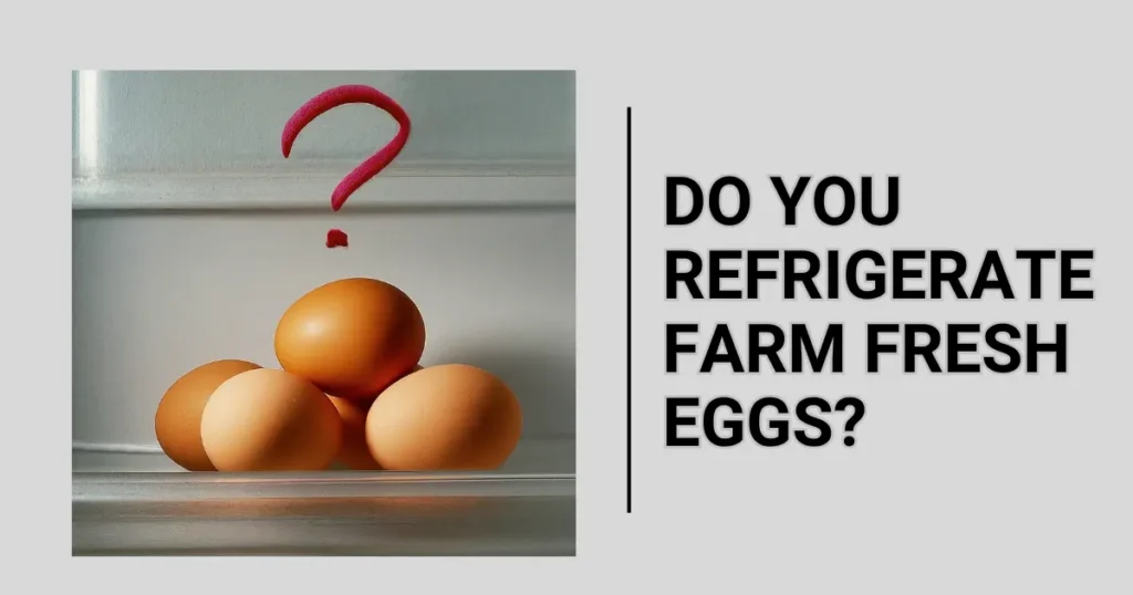 do you refrigerate farm fresh eggs