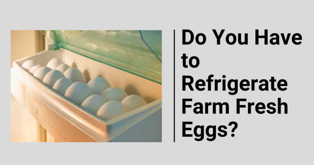 Do You Have to Refrigerate Farm Fresh Eggs?