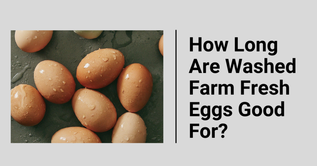 How Long Are Washed Farm Fresh Eggs Good For?