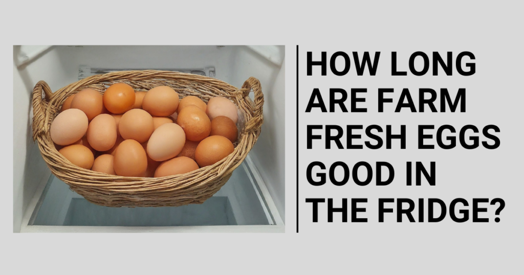 How Long Are Farm Fresh Eggs Good in the Fridge?