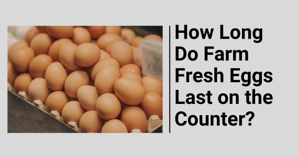 How Long Do Farm Fresh Eggs Last on the Counter?