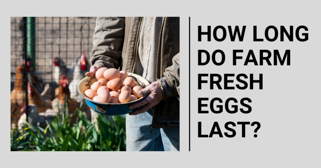 How Long Do Farm Fresh Eggs Last?