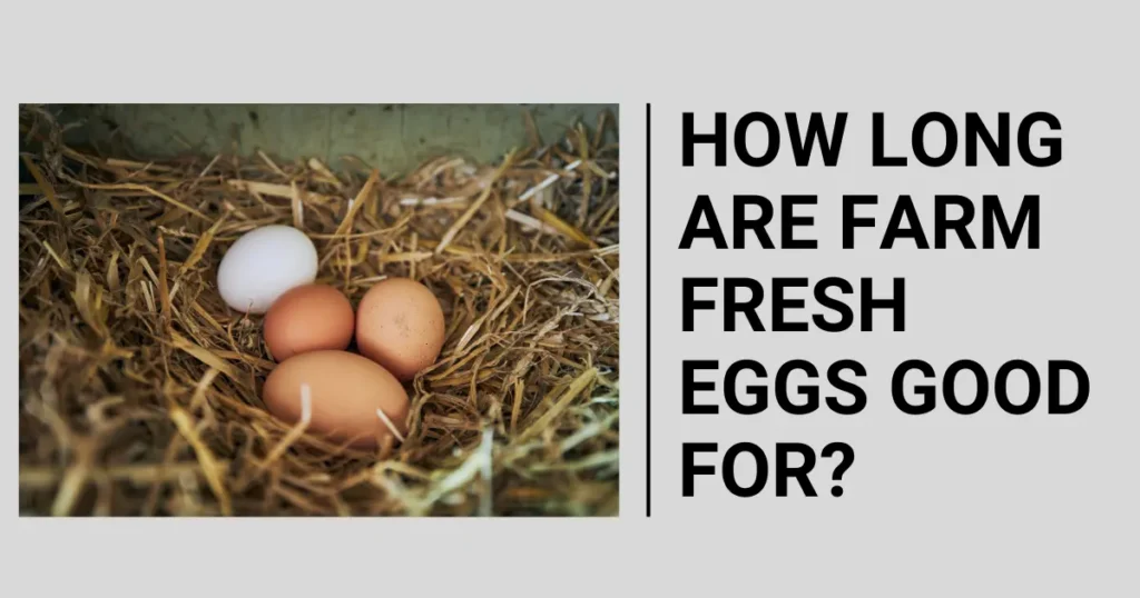 How Long Are Farm Fresh Eggs Good For?