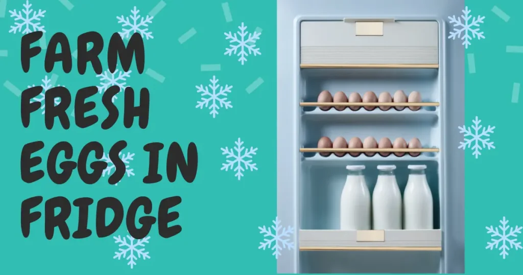 farm fresh eggs in fridge