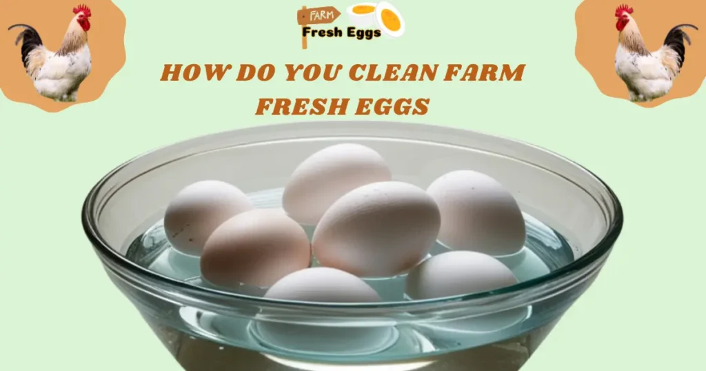 How to Clean Farm Fresh Eggs