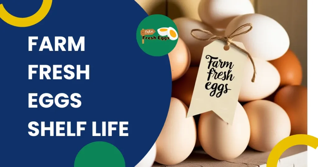 Farm Fresh Eggs Shelf Life