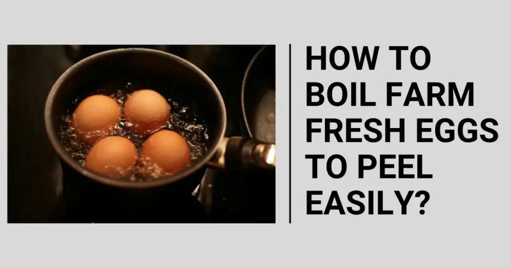 How to Boil Farm Fresh Eggs to Peel Easily?