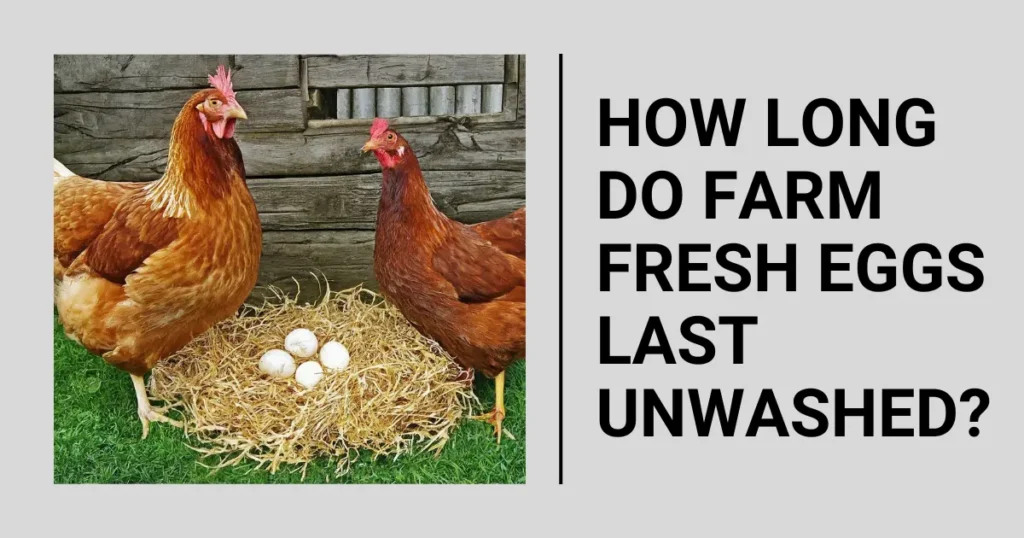 How Long Do Farm Fresh Eggs Last Unwashed?