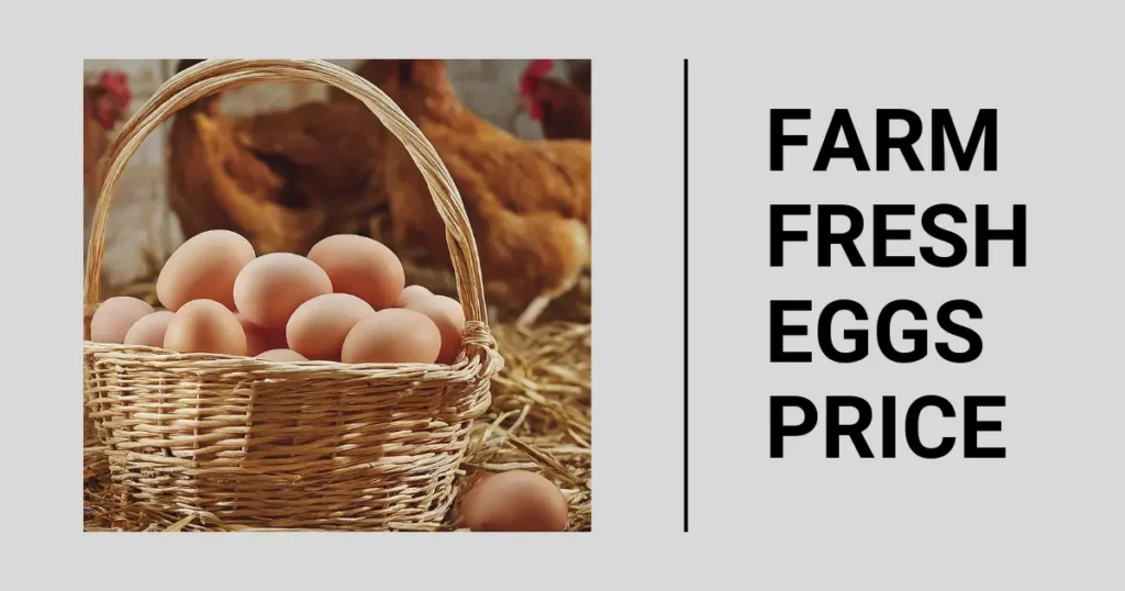 Farm Fresh Eggs Price