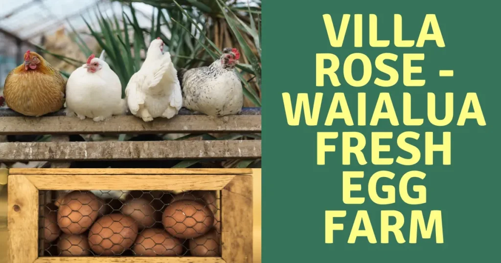 Villa Rose - Waialua Fresh Egg Farm