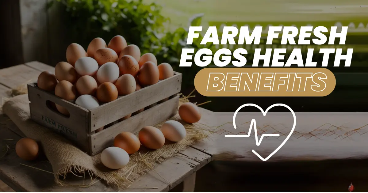 Nutritional Value of Farm Fresh Eggs