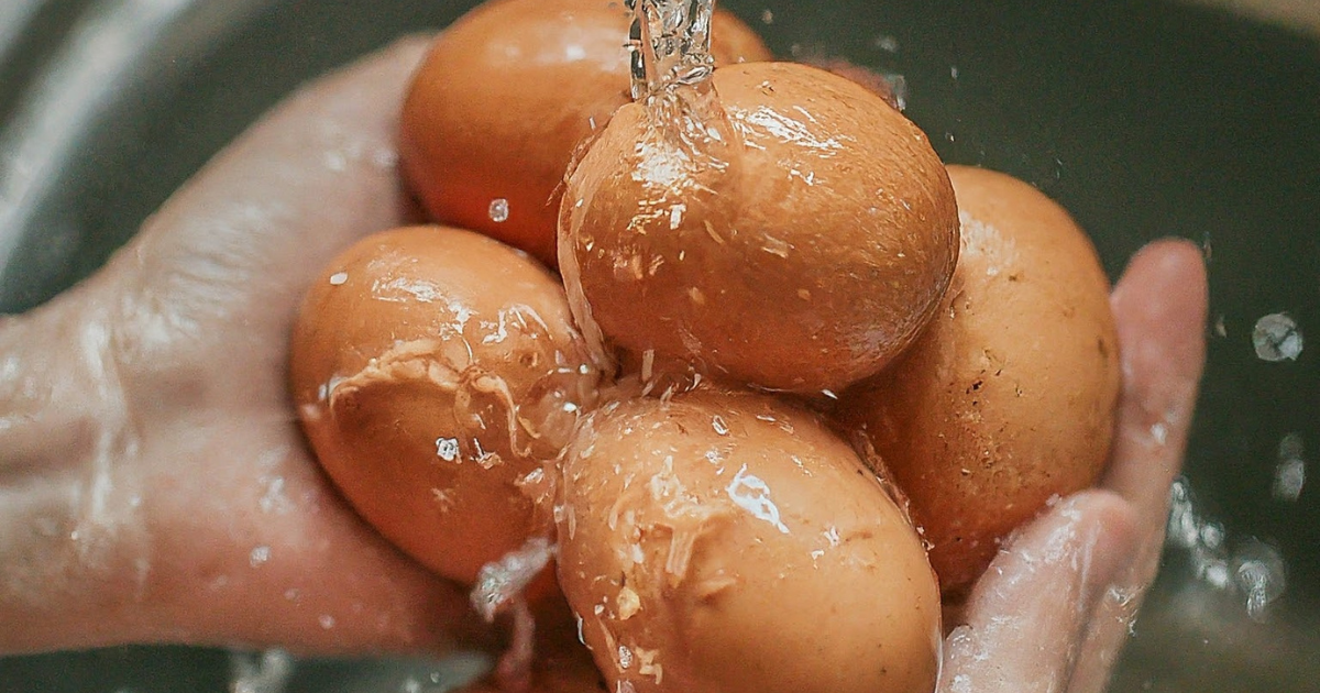 How to Properly Wash Farm Fresh Eggs