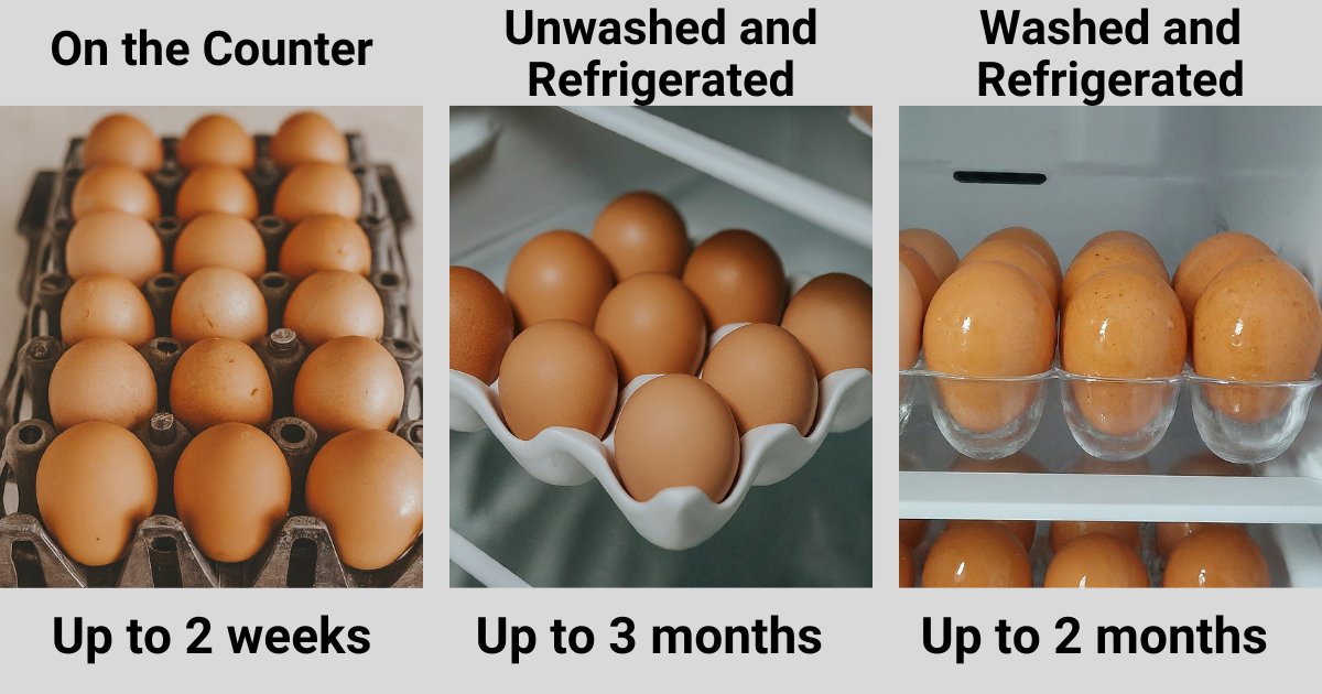 Farm Fresh Eggs Shelf Life