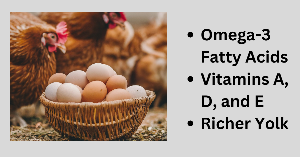 Nutritional Benefits of Fresh Eggs