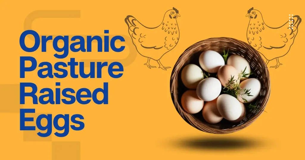 Organic Pasture Raised Eggs