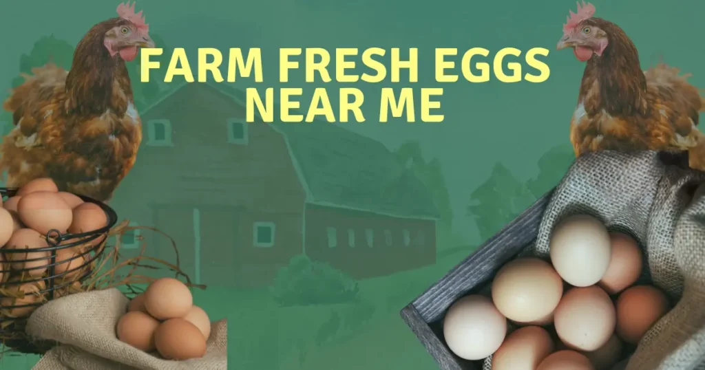 Benefits of Local Fresh Eggs