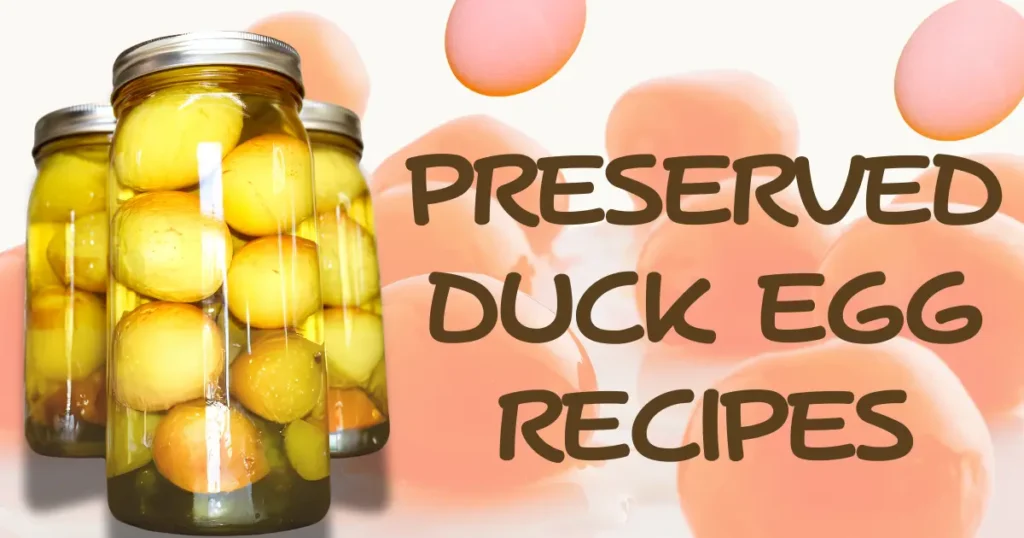 preserved duck egg recipes