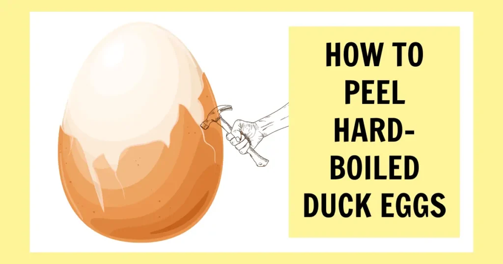 How to Peel Hard-Boiled Duck Eggs?