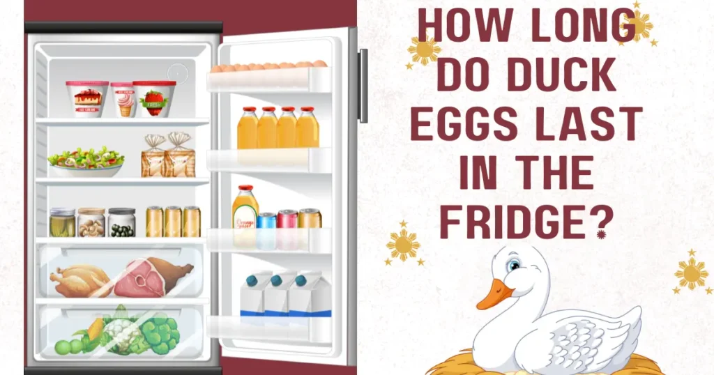 How Long Do Duck Eggs Last in the Fridge?