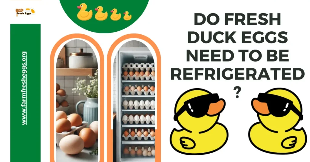 Do Fresh Duck Eggs Need to Be Refrigerated?