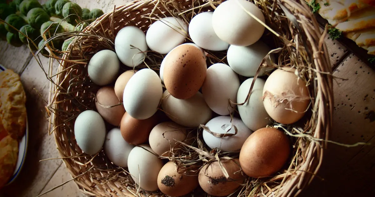 Health Benefits of Duck Eggs