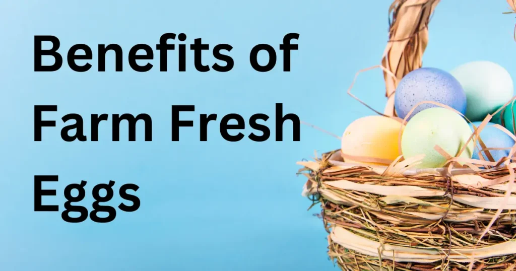 Benefits of Farm Fresh Eggs