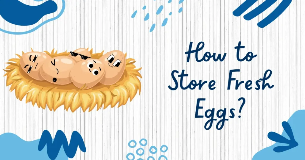 How to Store Fresh Eggs