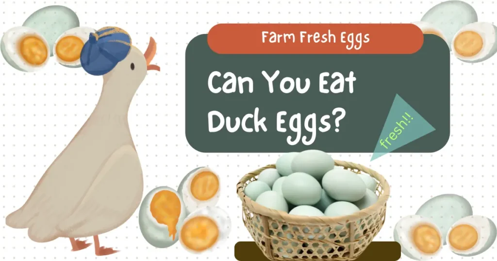 Can You Eat Duck Eggs?