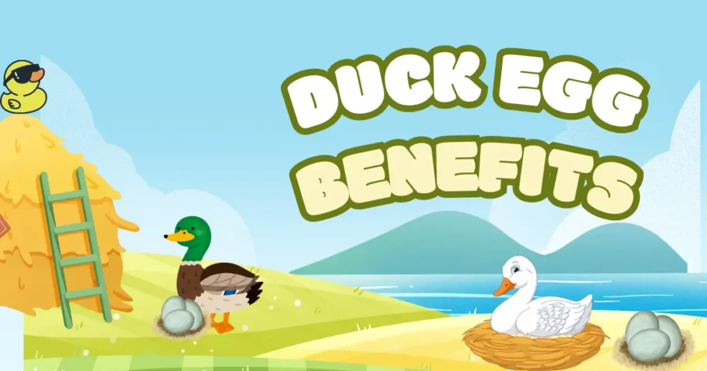 Duck Egg Benefit