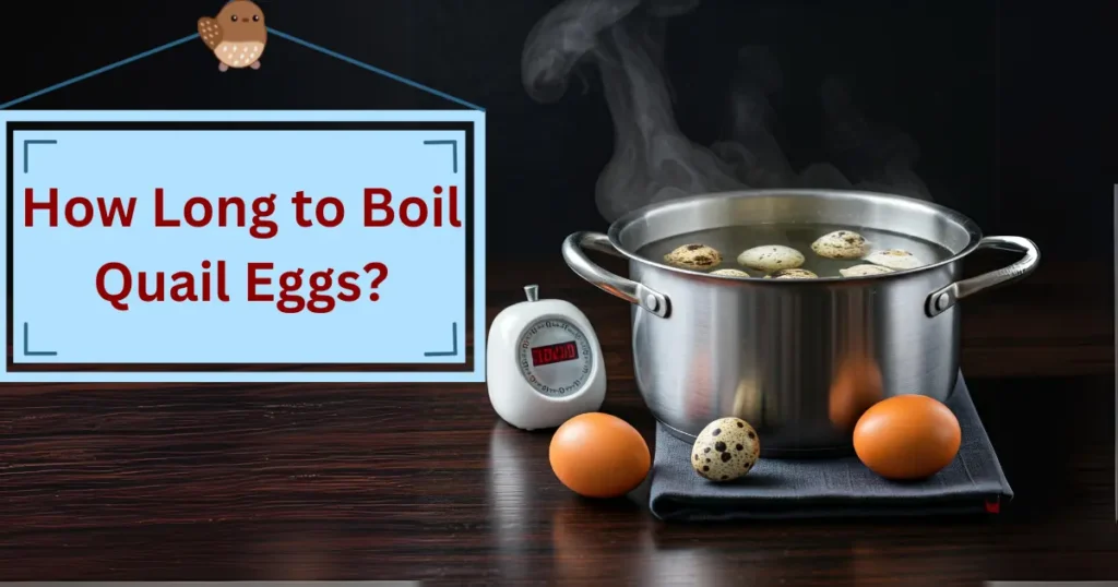 How Long to Boil Quail Eggs?