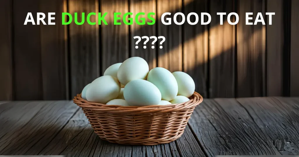 Are Duck Eggs Good to Eat?