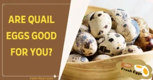 Are Quail Eggs Good for You?