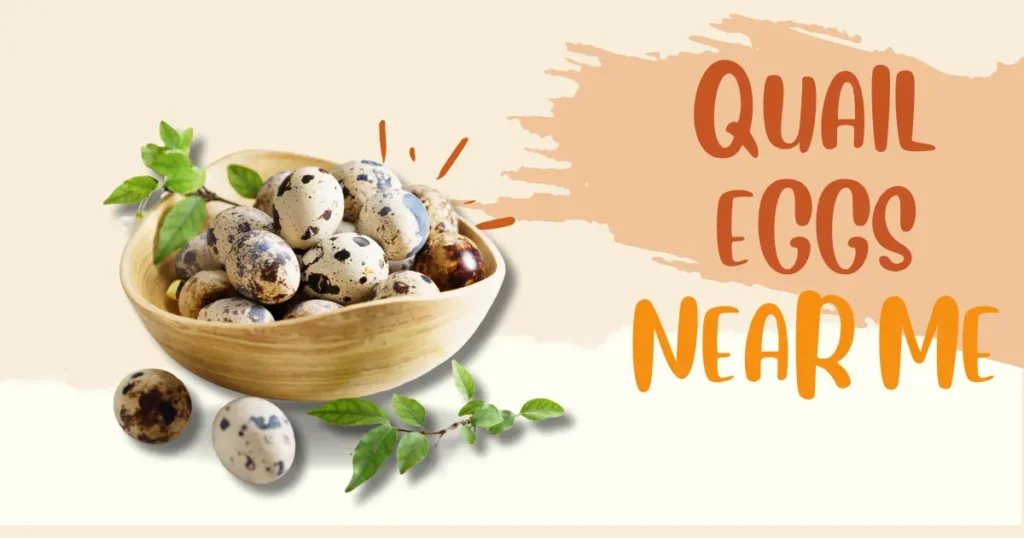 Quail eggs near me